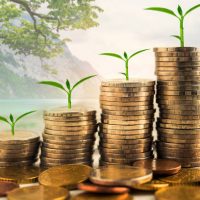 step of golden coins stacks on table with tree growing on top, nature background, money, saving and investment concept
